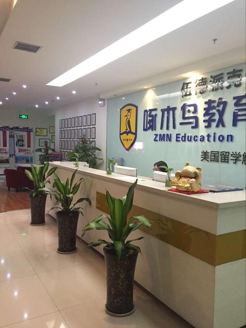 啄木鸟国际教育咨询